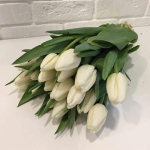 Букет белых тюльпанов - 15 шт.