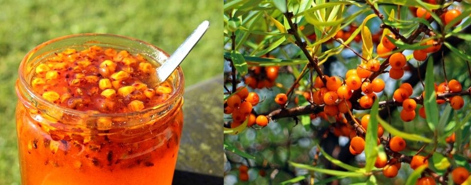 Чем полезно облепиховое варенье