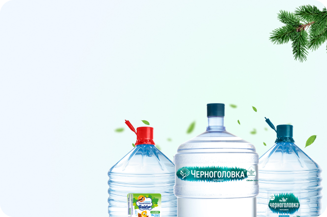 Черноголовка 19 литров