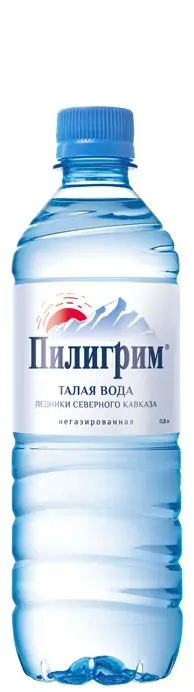 Пилигрим 0.5л б/г пэт