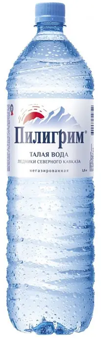 Пилигрим 1.5л б/г