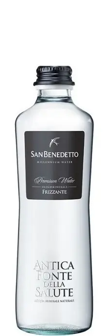 San Benedetto (Сан Бенедетто) ANTICA FONTE 0.33л газ.