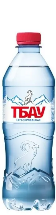 Тбау 0.5л ПЭТ б/г
