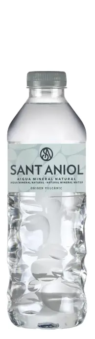 Sant Aniol (Сант Аниол) 0.33л б/г