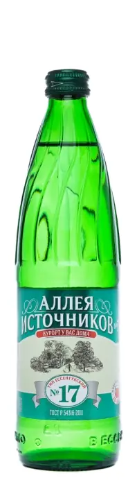 Аллея Источников №17 0.5л