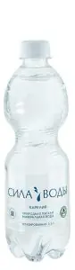 Сила воды Карелия 0.5л б/г