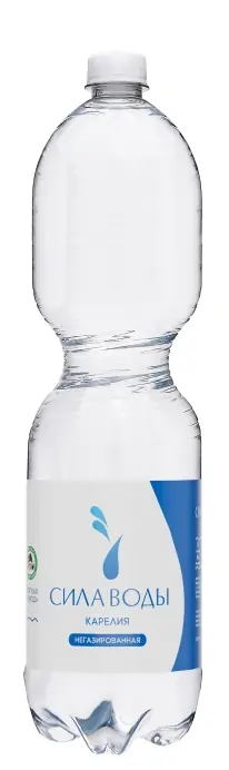 Сила воды Карелия 1.5л б/г