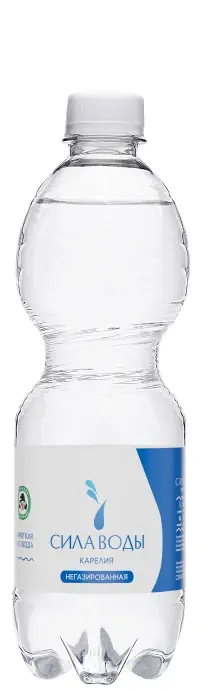 Сила воды Карелия 0.5л б/г
