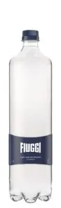 Fiuggi (Фьюджи) 0.5л газ.